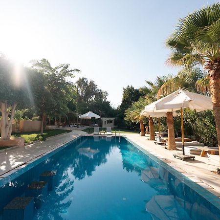 Tzila Lodge Fayoum Bagian luar foto