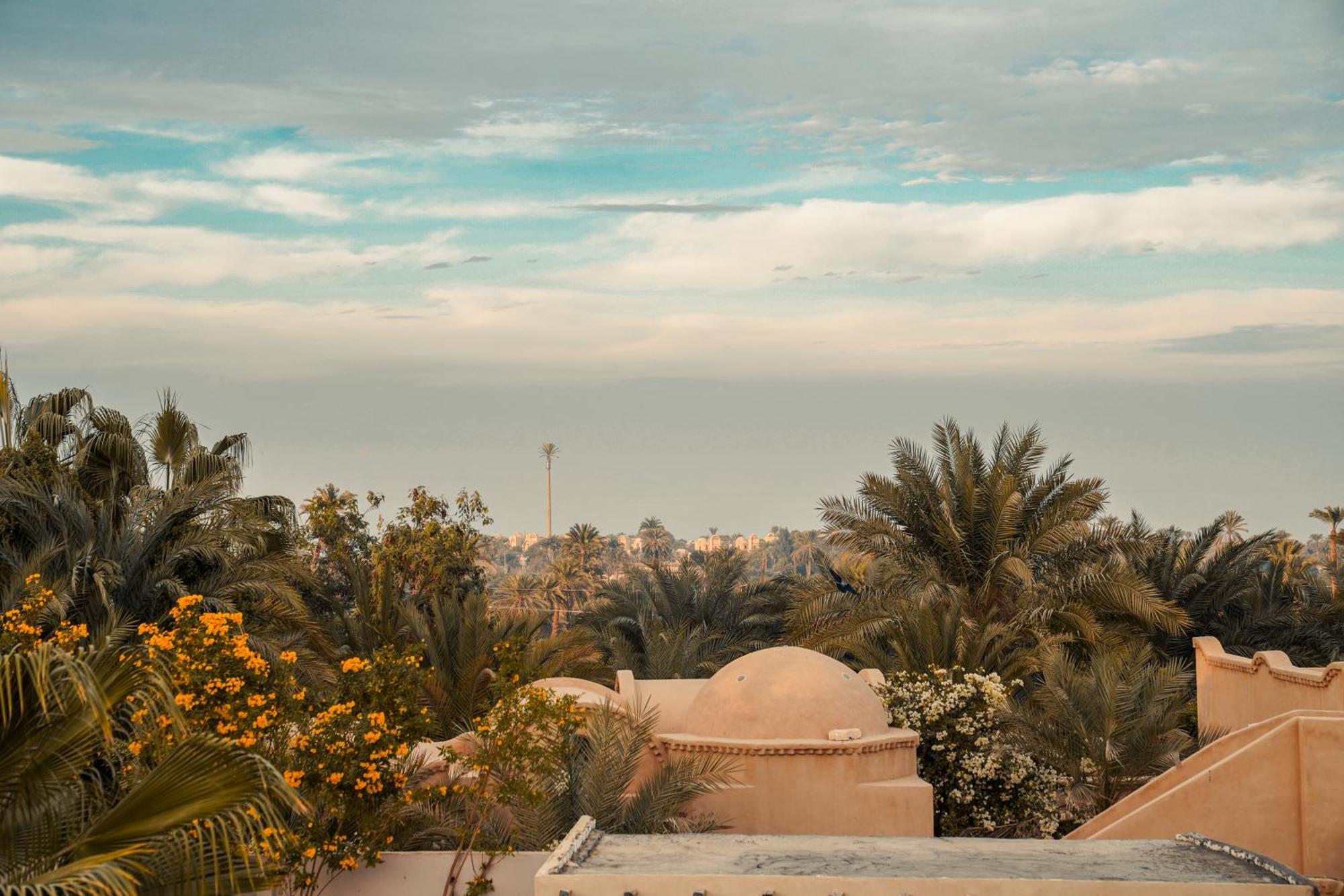 Tzila Lodge Fayoum Bagian luar foto