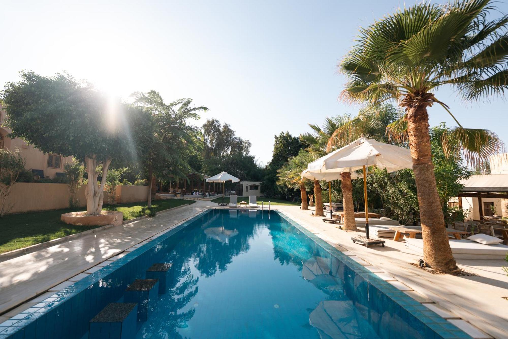 Tzila Lodge Fayoum Bagian luar foto
